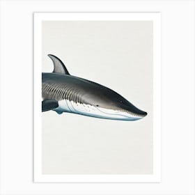 Greenland Shark 2 Vintage Art Print