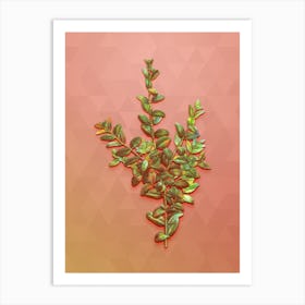 Vintage Boxwood Bush Botanical Art on Peach Pink n.1963 Art Print