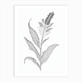 Plantain Herb William Morris Inspired Line Drawing Art Print