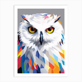 Colourful Geometric Bird Snowy Owl 3 Art Print