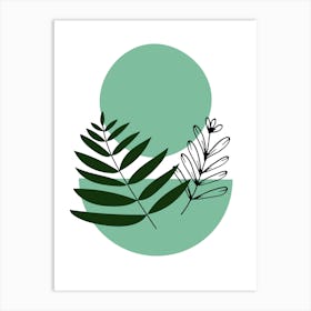 Ferns And Leaves Art Print