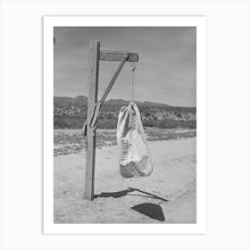 Mail Bag At Farmhouse, Pinto Creek, Arizona By Russell Lee Art Print