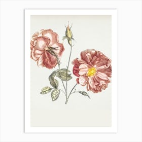 Two Roses Art Print