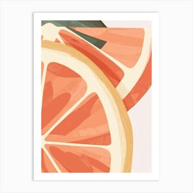 Grapefruits Close Up Illustration 3 Art Print