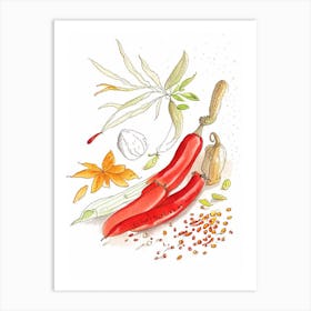 Cayenne Pepper Spices And Herbs Pencil Illustration 1 Art Print