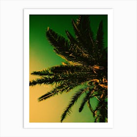 Palm Tree Print 'Croatia' Art Print