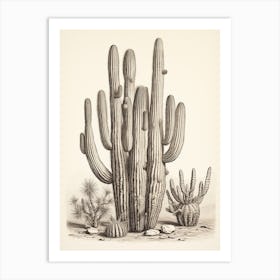 Vintage Cactus Illustration Old Man Cactus B&W Art Print