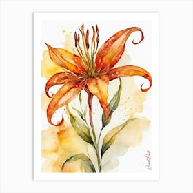 Orange Flame Lily Flower Art Print