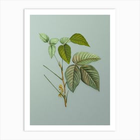 Vintage Eastern Poison Ivy Botanical Art on Mint Green n.0878 Art Print