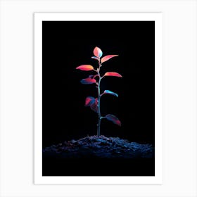 Plant Growing Out Of The Ground 2 Art Print