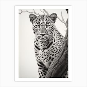 African Leopard Realism Portrait 3 Art Print
