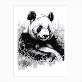 Giant Panda Resting In A Field Ink Illustration 2 Art Print