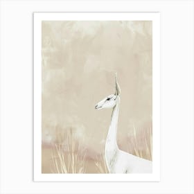 Antelope Canvas Print Art Print