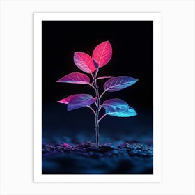 Plant Growing In The Dark 27 Art Print