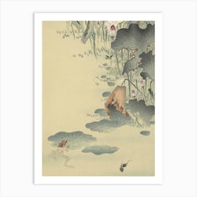 Japanese Ukiyo-E Chinese Lotus Flower Art Print