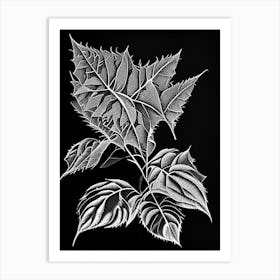 Pokeweed Leaf Linocut 1 Art Print