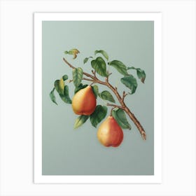 Vintage Wild European Pear Botanical Art on Mint Green n.0810 Art Print