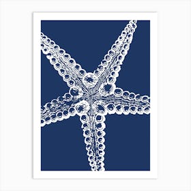 Starfish 16 Art Print