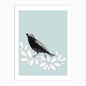 Songbird Spruce Art Print