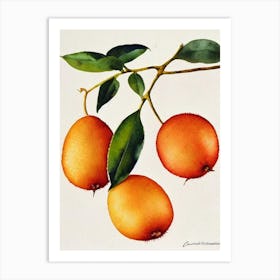 Golden Kiwi Watercolour Fruit Painting Fruit Art Print