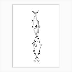 Two Fishes. Uk Art Print