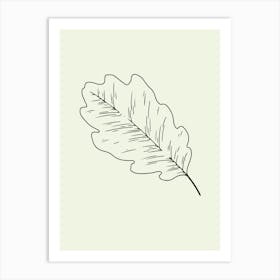 Oak Leaf Vector Illustration line art Art Print