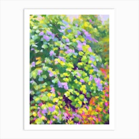 Maidenhair Vine Impressionist Painting Art Print