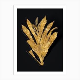 Vintage Cordyline Fruticosa Botanical in Gold on Black n.0589 Art Print