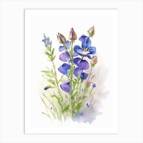 Veronica Wildflower Watercolour Art Print