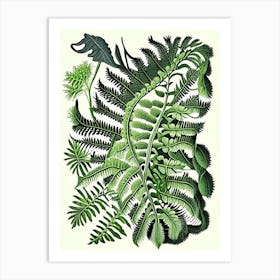 Netted Chain Fern Vintage Botanical Poster Art Print