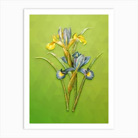 Vintage Spanish Iris Botanical Art on Love Bird Green n.0868 Art Print