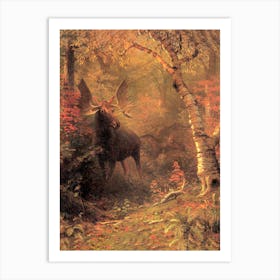Moose, Bierstadt Art Print
