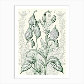 Cardamom Herb William Morris Inspired Line Drawing 2 Art Print