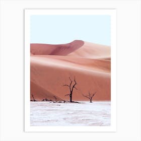 Ancient Forest Namibia Art Print