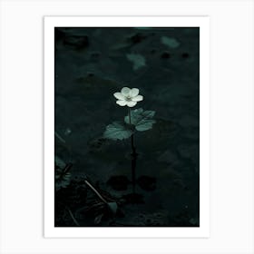 Single Flower In Water 29 Art Print