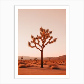  Photograph Of A Joshua Tree At Dawn In Desert 1 Art Print
