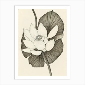 Lotus Vintage Botanical Flower Art Print