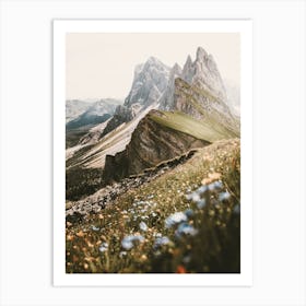 Wildflowers On Mountainside Art Print