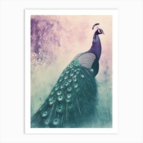 Turquoise Purple Vintage Photo Of A Peacock Art Print