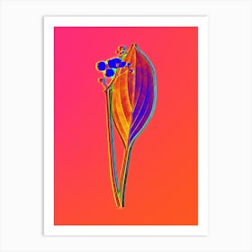 Neon Bulltongue Arrowhead Botanical in Hot Pink and Electric Blue n.0336 Art Print