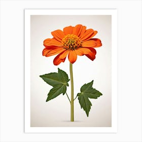 Chrysanthemum 1 Art Print