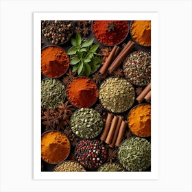 Various Spices On A Black Background Art Print