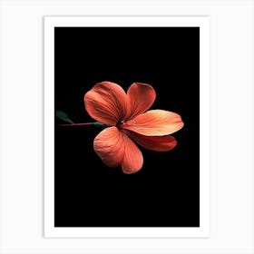 Hibiscus Flower 9 Art Print