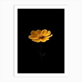 Single Yellow Flower 10 Art Print