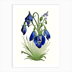 Harebell Wildflower Vintage Botanical Art Print