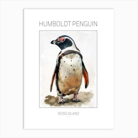 Humboldt Penguin Ross Island Watercolour Painting 3 Poster Art Print