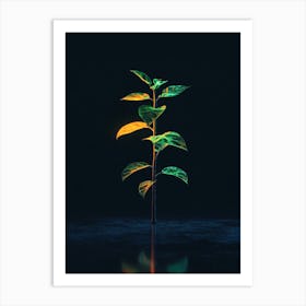 Tree In The Dark 20 Art Print