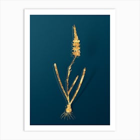 Vintage Ixia Cepacea Botanical in Gold on Teal Blue Art Print