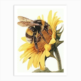 Carpenter Bee Storybook Illustration 6 Art Print