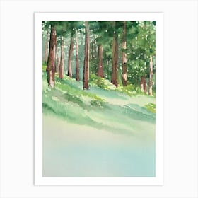 Muir Woods National Park United States Of America Water Colour Poster Art Print